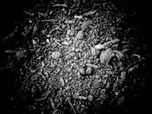 Black and white photo of dirt and small rocks.