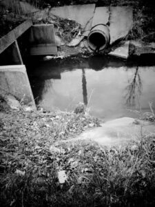 Black and white photo of waste water pipe pouring into a creek.